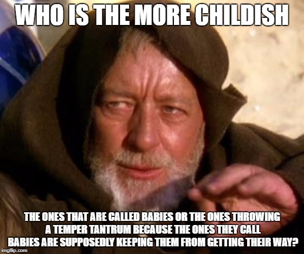 Obi-Wan Kenobi | WHO IS THE MORE CHILDISH; THE ONES THAT ARE CALLED BABIES OR THE ONES THROWING A TEMPER TANTRUM BECAUSE THE ONES THEY CALL BABIES ARE SUPPOSEDLY KEEPING THEM FROM GETTING THEIR WAY? | image tagged in obi-wan kenobi | made w/ Imgflip meme maker