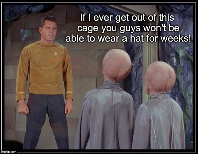 "ANALIANS" | If I ever get out of this cage you guys won't be able to wear a hat for weeks! | image tagged in star trek | made w/ Imgflip meme maker