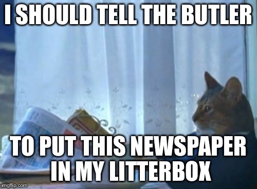 I Should Buy A Boat Cat Meme | I SHOULD TELL THE BUTLER; TO PUT THIS NEWSPAPER IN MY LITTERBOX | image tagged in memes,i should buy a boat cat | made w/ Imgflip meme maker