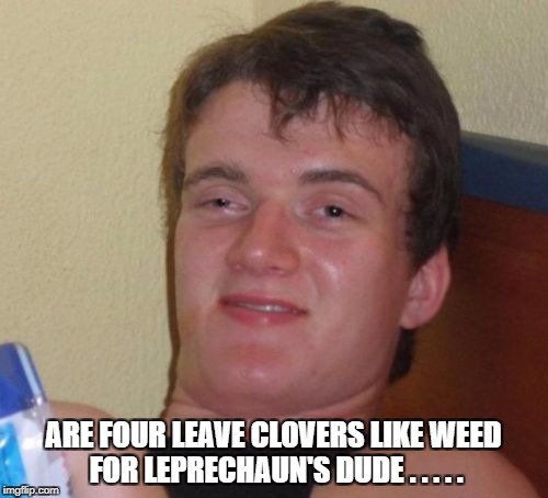 10 Guy Meme | ARE FOUR LEAVE CLOVERS LIKE WEED FOR LEPRECHAUN'S DUDE . . . . . | image tagged in memes,10 guy | made w/ Imgflip meme maker