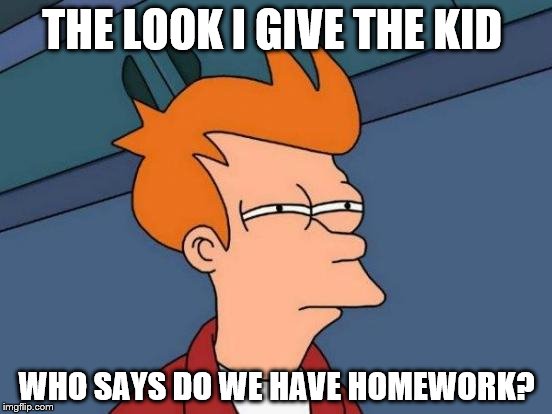 Futurama Fry Meme | THE LOOK I GIVE THE KID; WHO SAYS DO WE HAVE HOMEWORK? | image tagged in memes,futurama fry | made w/ Imgflip meme maker