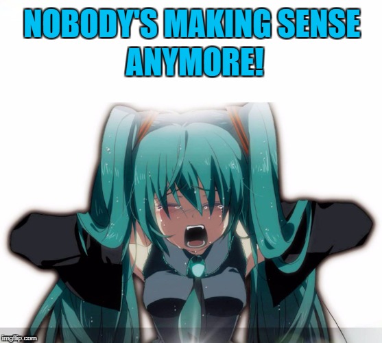 Nobody's making SENSE  | NOBODY'S MAKING SENSE; ANYMORE! | image tagged in nonsense,miku,vocaloid,frustration,sense | made w/ Imgflip meme maker