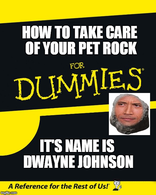 For Dummies | HOW TO TAKE CARE OF YOUR PET ROCK; IT'S NAME IS DWAYNE JOHNSON | image tagged in for dummies | made w/ Imgflip meme maker