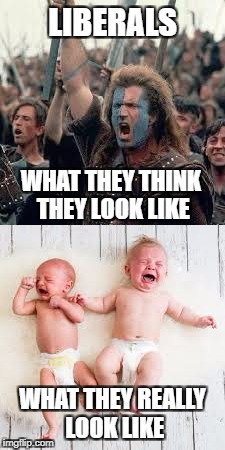LIBERALS; WHAT THEY THINK THEY LOOK LIKE; WHAT THEY REALLY LOOK LIKE | image tagged in college liberal,liberals,liberal logic,libtards,libtard,retarded liberal protesters | made w/ Imgflip meme maker