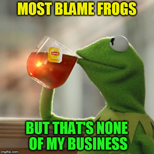 But That's None Of My Business Meme | MOST BLAME FROGS BUT THAT'S NONE OF MY BUSINESS | image tagged in memes,but thats none of my business,kermit the frog | made w/ Imgflip meme maker