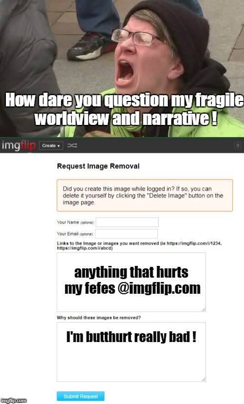 Request Image Removal AKA Butthurt  Acknowledgment Form  | How dare you question my fragile worldview and narrative ! anything that hurts my fefes @imgflip.com; I'm butthurt really bad ! | image tagged in memes,butthurt,imgflip users,request image removal | made w/ Imgflip meme maker