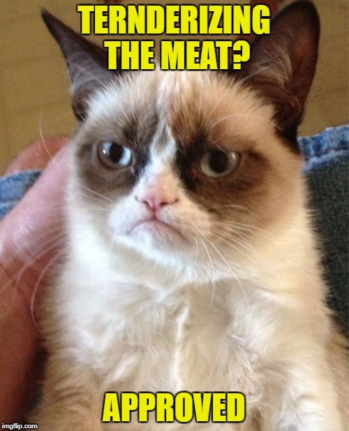 Grumpy Cat Meme | TERNDERIZING THE MEAT? APPROVED | image tagged in memes,grumpy cat | made w/ Imgflip meme maker