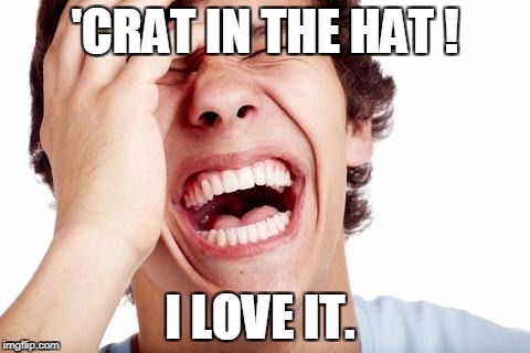 hilarious | 'CRAT IN THE HAT ! I LOVE IT. | image tagged in hilarious | made w/ Imgflip meme maker