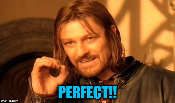 One Does Not Simply Meme | PERFECT!! | image tagged in memes,one does not simply | made w/ Imgflip meme maker