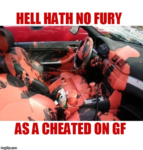 life in these United States | HELL HATH NO FURY; AS A CHEATED ON GF | image tagged in funny | made w/ Imgflip meme maker
