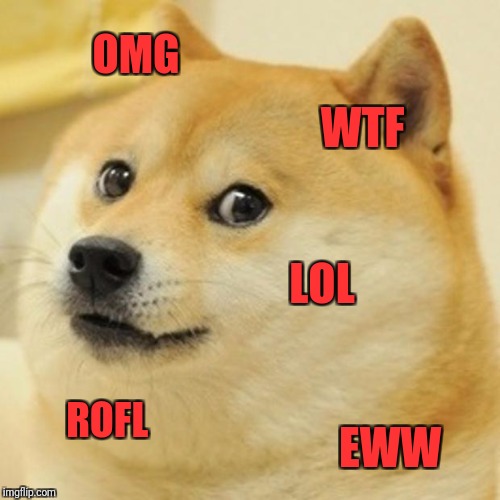 Doge Meme | OMG; WTF; LOL; ROFL; EWW | image tagged in memes,doge | made w/ Imgflip meme maker