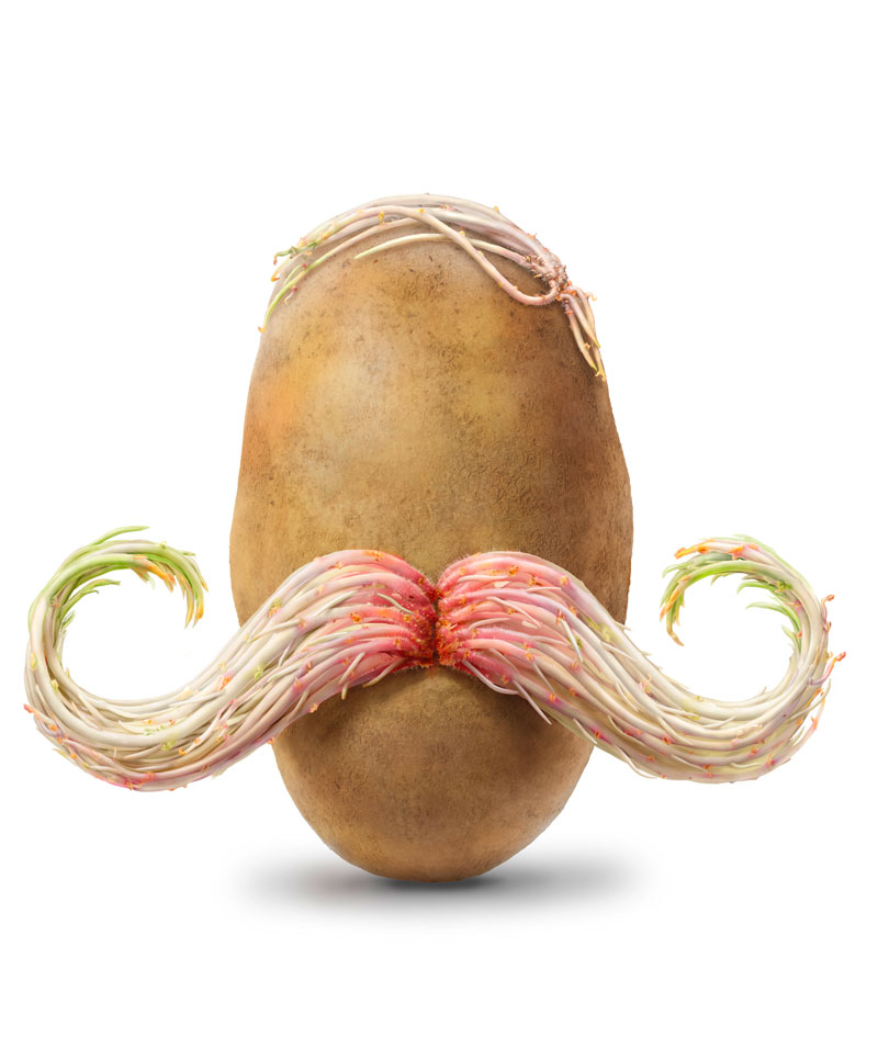 High Quality moustache potato Blank Meme Template