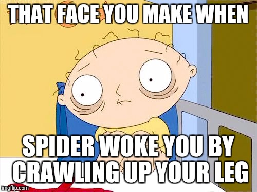 scared | THAT FACE YOU MAKE WHEN; SPIDER WOKE YOU BY CRAWLING UP YOUR LEG | image tagged in scared | made w/ Imgflip meme maker