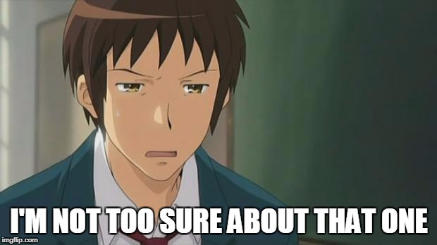 Kyon WTF | I'M NOT TOO SURE ABOUT THAT ONE | image tagged in kyon wtf | made w/ Imgflip meme maker