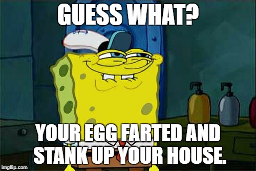Don't You Squidward Meme | GUESS WHAT? YOUR EGG FARTED AND STANK UP YOUR HOUSE. | image tagged in memes,dont you squidward | made w/ Imgflip meme maker