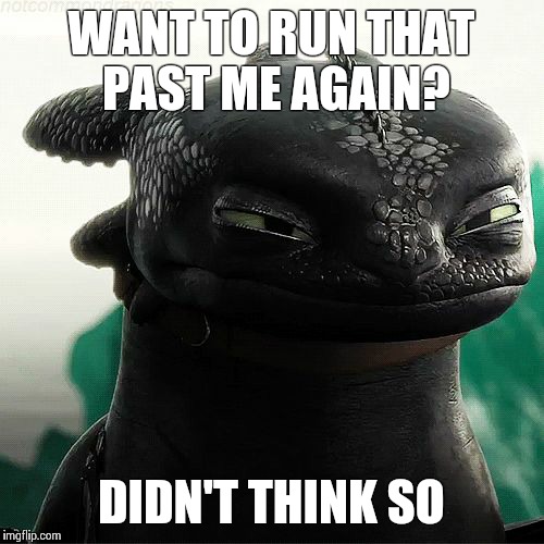 WANT TO RUN THAT PAST ME AGAIN? DIDN'T THINK SO | image tagged in how to train your dragon,toothless | made w/ Imgflip meme maker
