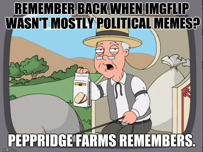 Those were good days... | REMEMBER BACK WHEN IMGFLIP WASN'T MOSTLY POLITICAL MEMES? PEPPRIDGE FARMS REMEMBERS. | image tagged in peppridge farms remembers,imgflip,political | made w/ Imgflip meme maker