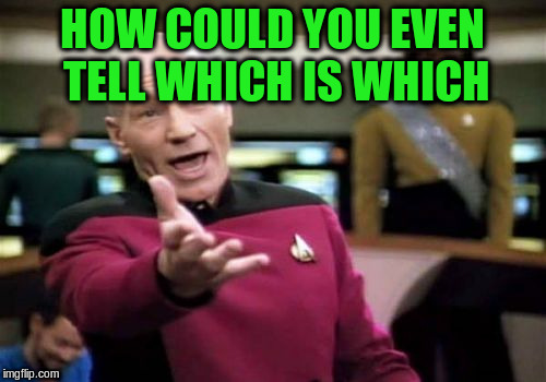 Picard Wtf Meme | HOW COULD YOU EVEN TELL WHICH IS WHICH | image tagged in memes,picard wtf | made w/ Imgflip meme maker