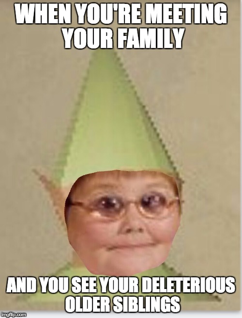 Dank dank child | WHEN YOU'RE MEETING YOUR FAMILY; AND YOU SEE YOUR DELETERIOUS OLDER SIBLINGS | image tagged in dank dank child | made w/ Imgflip meme maker