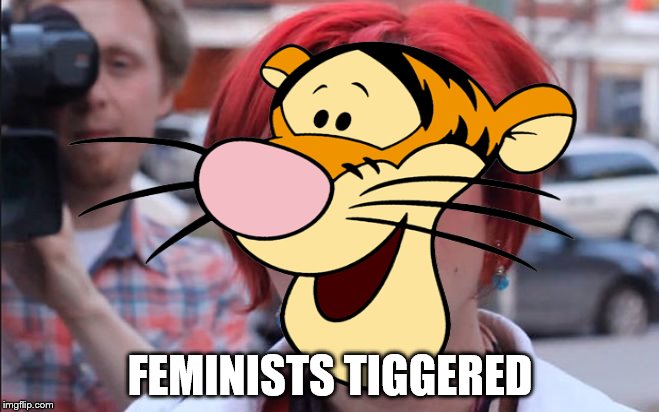 I don't know why | FEMINISTS TIGGERED | image tagged in feminism,tigger | made w/ Imgflip meme maker