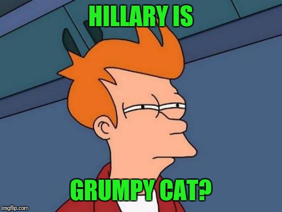 Futurama Fry Meme | HILLARY IS GRUMPY CAT? | image tagged in memes,futurama fry | made w/ Imgflip meme maker