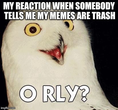 o rly | MY REACTION WHEN SOMEBODY TELLS ME MY MEMES ARE TRASH | image tagged in o rly | made w/ Imgflip meme maker