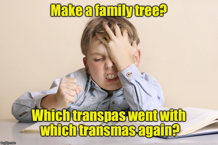The challenge of transgender family trees | . | image tagged in memes,transgender,family tree,homework | made w/ Imgflip meme maker