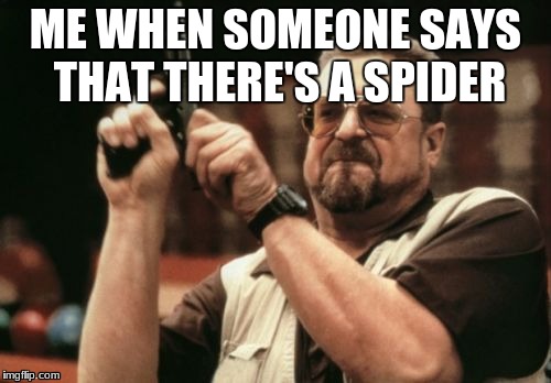 Am I The Only One Around Here Meme | ME WHEN SOMEONE SAYS THAT THERE'S A SPIDER | image tagged in memes,am i the only one around here | made w/ Imgflip meme maker
