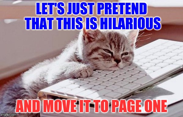 Memer's block, be empathetic | LET'S JUST PRETEND THAT THIS IS HILARIOUS; AND MOVE IT TO PAGE ONE | image tagged in memes,cats,funny | made w/ Imgflip meme maker