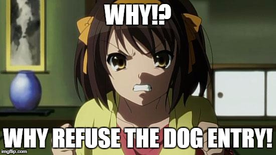 Angry Haruhi | WHY!? WHY REFUSE THE DOG ENTRY! | image tagged in angry haruhi | made w/ Imgflip meme maker
