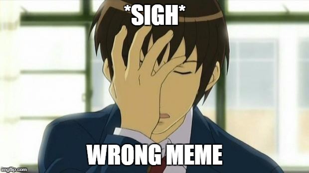 Kyon Facepalm Ver 2 | *SIGH* WRONG MEME | image tagged in kyon facepalm ver 2 | made w/ Imgflip meme maker