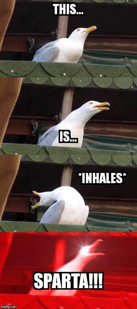 Inhailing Seagull  | image tagged in seagull,inhailing seagull | made w/ Imgflip meme maker