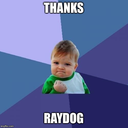 Success Kid Meme | THANKS RAYDOG | image tagged in memes,success kid | made w/ Imgflip meme maker