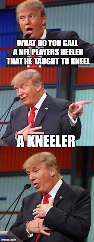 Bad Pun Trump | WHAT DO YOU CALL A NFL PLAYERS HEELER THAT HE TAUGHT TO KNEEL; A KNEELER | image tagged in bad pun trump | made w/ Imgflip meme maker