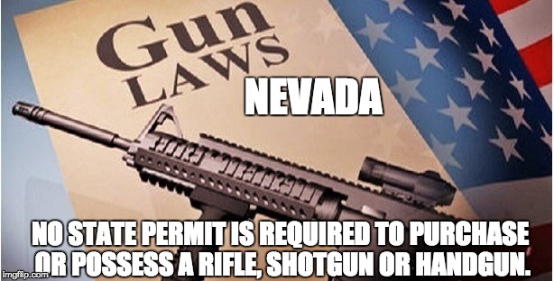 Guns | NEVADA; NO STATE PERMIT IS REQUIRED TO PURCHASE OR POSSESS A RIFLE, SHOTGUN OR HANDGUN. | image tagged in 2nd amendment,gun violence,mass shooting,gun laws,gun control | made w/ Imgflip meme maker