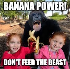 hungry beast | BANANA POWER! DON'T FEED THE BEAST | image tagged in banana,hungry,monkey,beast | made w/ Imgflip meme maker
