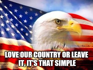 American Flag | LOVE OUR COUNTRY OR LEAVE IT, IT'S THAT SIMPLE | image tagged in american flag | made w/ Imgflip meme maker