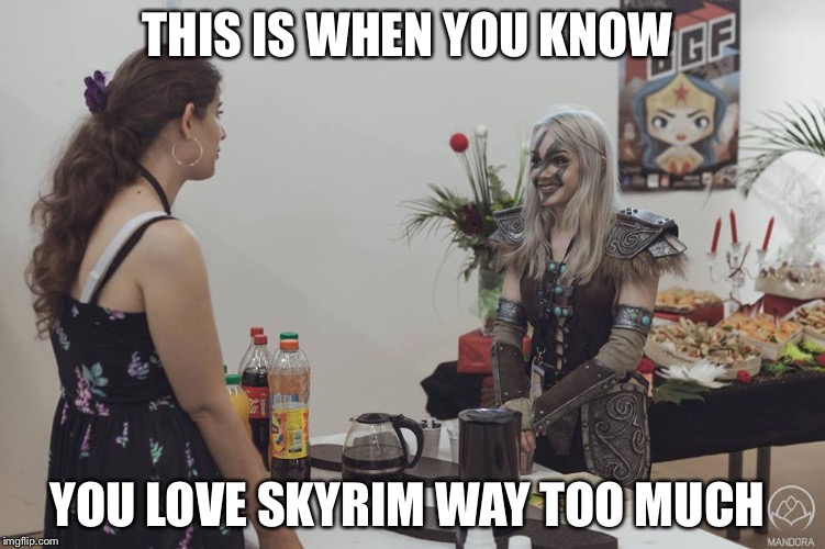 Aela Skyrim | THIS IS WHEN YOU KNOW; YOU LOVE SKYRIM WAY TOO MUCH | image tagged in aela skyrim | made w/ Imgflip meme maker