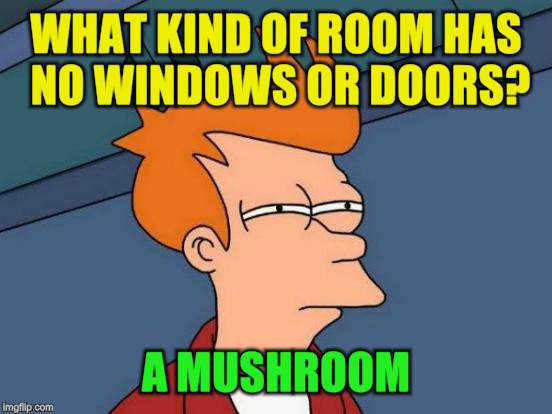 Futurama Fry Meme | WHAT KIND OF ROOM HAS NO WINDOWS OR DOORS? A MUSHROOM | image tagged in memes,futurama fry | made w/ Imgflip meme maker