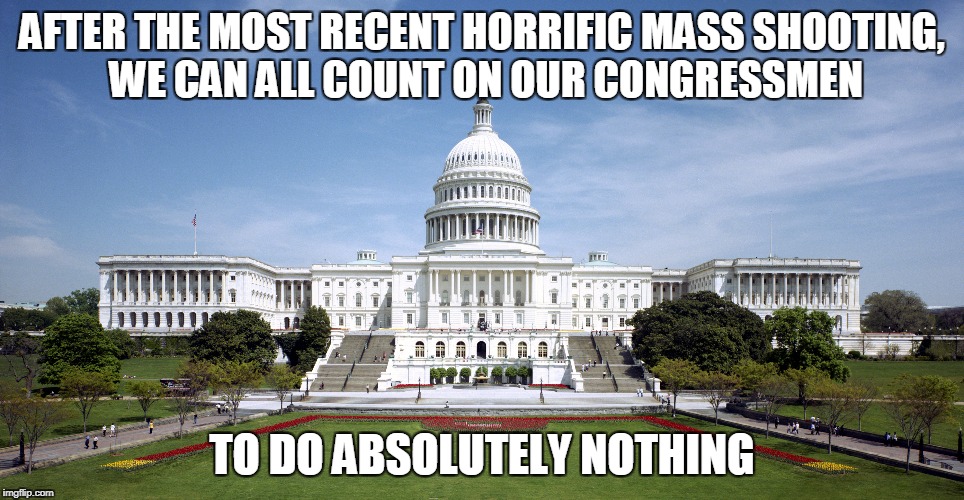 AFTER THE MOST RECENT HORRIFIC MASS SHOOTING, WE CAN ALL COUNT ON OUR CONGRESSMEN; TO DO ABSOLUTELY NOTHING | image tagged in guns | made w/ Imgflip meme maker