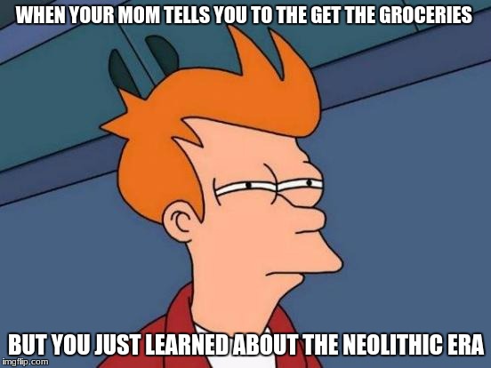 Futurama Fry | WHEN YOUR MOM TELLS YOU TO THE GET THE GROCERIES; BUT YOU JUST LEARNED ABOUT THE NEOLITHIC ERA | image tagged in memes,futurama fry | made w/ Imgflip meme maker