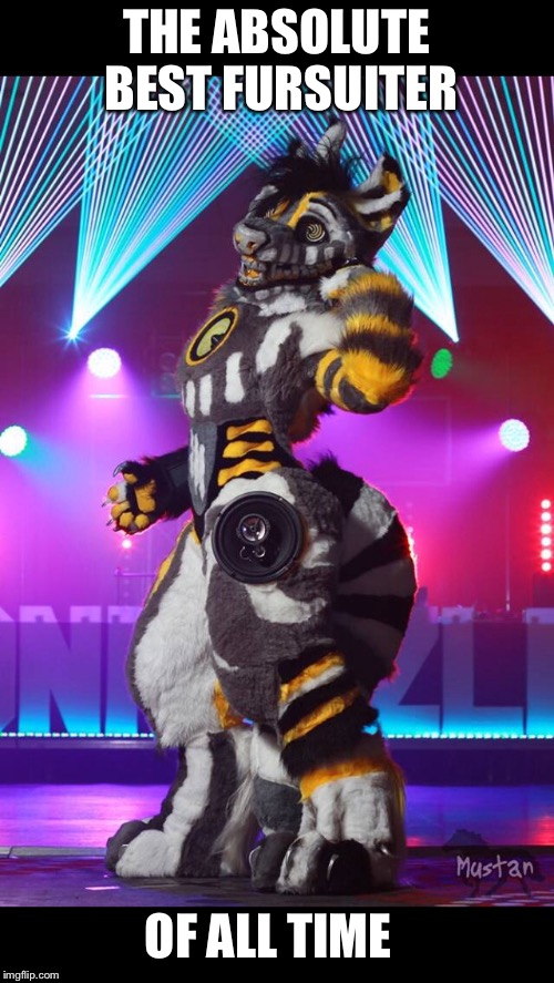 THE ABSOLUTE BEST FURSUITER; OF ALL TIME | image tagged in memes,furries,fursuit | made w/ Imgflip meme maker