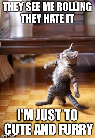 Cool Cat Stroll | THEY SEE ME ROLLING THEY HATE IT; I'M JUST TO CUTE AND FURRY | image tagged in memes,cool cat stroll | made w/ Imgflip meme maker