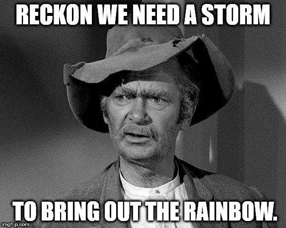 Jed Clampett | RECKON WE NEED A STORM; TO BRING OUT THE RAINBOW. | image tagged in jed clampett | made w/ Imgflip meme maker