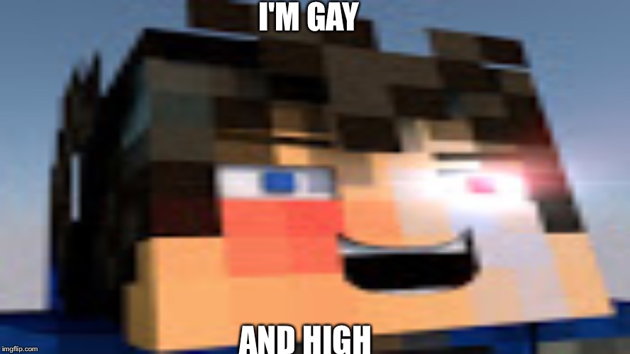I'M GAY; AND HIGH | image tagged in vanossgaming | made w/ Imgflip meme maker
