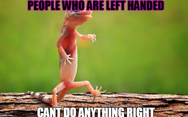 PEOPLE WHO ARE LEFT HANDED; CANT DO ANYTHING RIGHT | image tagged in lizard walk | made w/ Imgflip meme maker