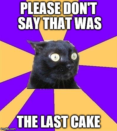anxiety cat | PLEASE DON'T SAY THAT WAS; THE LAST CAKE | image tagged in anxiety cat | made w/ Imgflip meme maker
