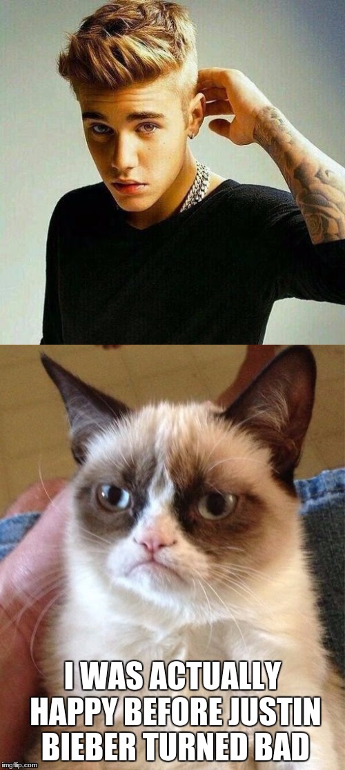 Justin Bieber and Grumpy Cat | I WAS ACTUALLY HAPPY BEFORE JUSTIN BIEBER TURNED BAD | image tagged in justin bieber and grumpy cat | made w/ Imgflip meme maker