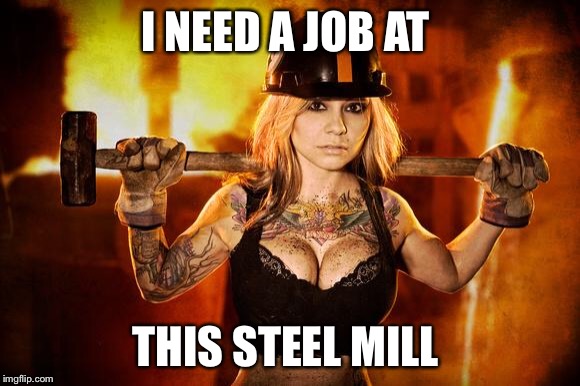 Shannon - Steel Worker | I NEED A JOB AT; THIS STEEL MILL | image tagged in job interview | made w/ Imgflip meme maker