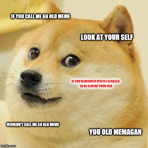 Doge | IF YOU CALL ME AN OLD MEME; LOOK AT YOUR SELF; IF YOU REMEMBER WHEN I STARTED TO BE A MEME YOUR OLD; WOULDN'T CALL ME AN OLD MEME; YOU OLD MEMAGAN | image tagged in memes,doge | made w/ Imgflip meme maker